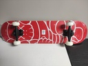 CGS0194 Skate Board